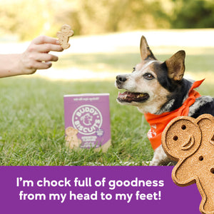 Buddy Biscuits Crunchy Assorted Flavors Dog Treats