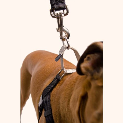 2 Hounds Design Freedom No-Pull Dog Harness Training Package with Leash,  X-Small, 5/8-Inch Wide, Black
