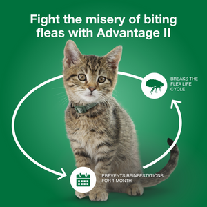 Elanco Advantage II Small Cat