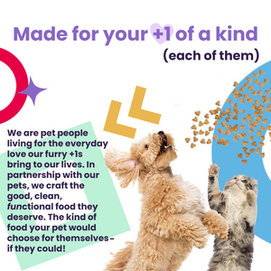 I and Love and You Naked Essentials Grain Free Puppy Recipe Dry Dog Food