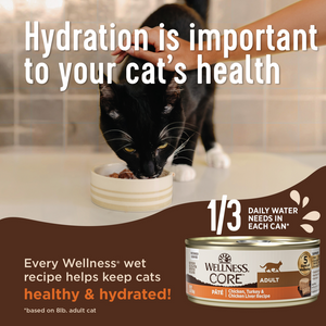 Wellness Core Digestive Health Turkey Pate Recipe Canned Cat Food