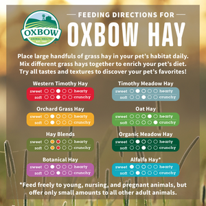 Oxbow Animal Health Western Timothy Hay All Natural Hay for Rabbits Guinea Pigs Chinchillas Hamsters & Gerbils