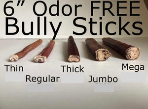 GoBelly's ODOR FREE Bully Sticks (10 Pack)
