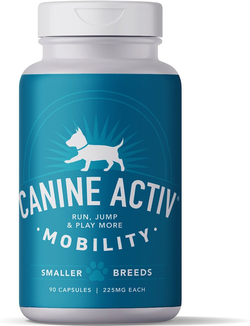 Canine Activ