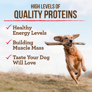 Merrick Premium Grain Free Dry Adult Dog Food Wholesome And Natural Kibble Real Texas Beef And Sweet Potato