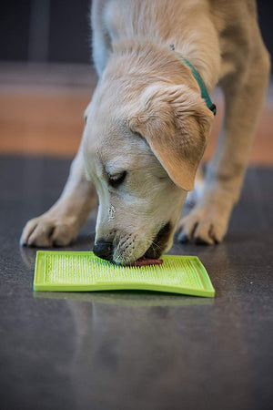 Hyper-Pet Licki Mat