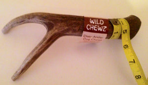 Natural Hound / Wild Chewz Deer Antler Whole - XLarge
