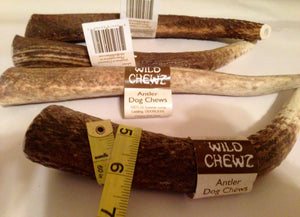 Natural Hound / Wild Chewz Elk Antler Whole - Large