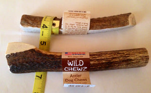 Natural Hound / Wild Chewz Elk Antler Split - Small
