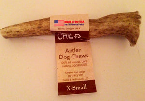 Natural Hound / Wild Chewz Elk Antler Whole - XSmall