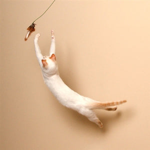 Neko Flies Cat Toy - The Original Kittenator