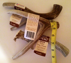 Natural Hound / Wild Chewz Deer Antler Whole - Large