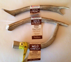 Natural Hound / Wild Chewz Deer Antler Whole - Medium
