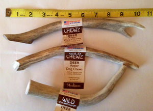 Natural Hound / Wild Chewz Deer Antler Whole - Medium