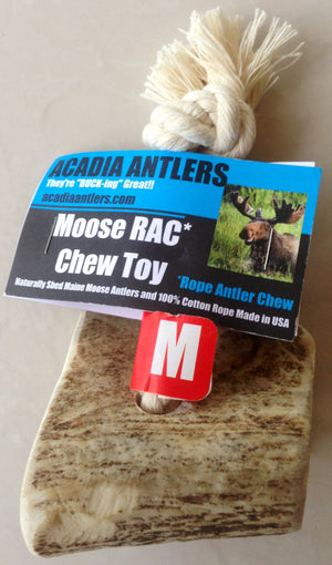 Acadia Moose Antler & Rope Chews