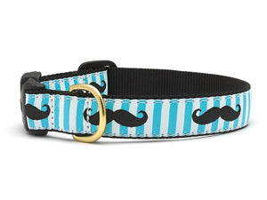 Up Country Mustache Dog Collar