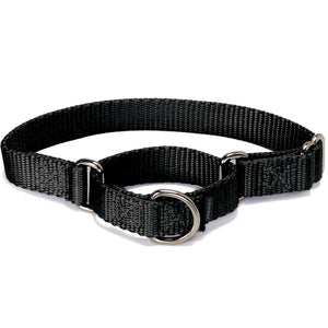 PetSafe Premier Martingale Black Pet Collar