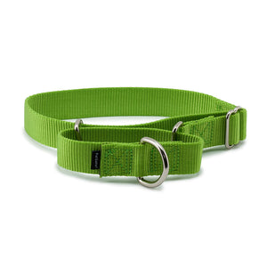 PetSafe Premier Martingale Green Apple Pet Collar