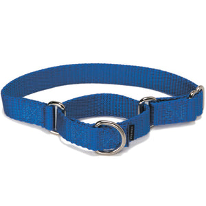 PetSafe Premier Martingale Royal Blue Pet Collar
