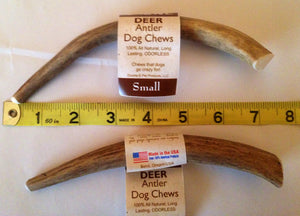 Natural Hound / Wild Chewz Deer Antler Whole - Small